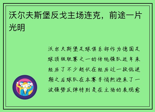 沃尔夫斯堡反戈主场连克，前途一片光明