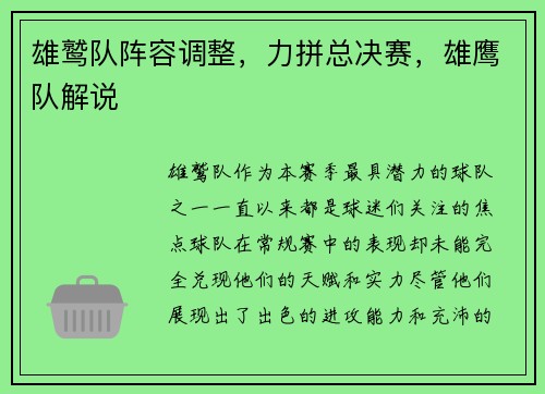 雄鹫队阵容调整，力拼总决赛，雄鹰队解说